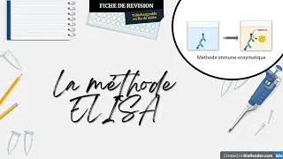 Miniature : La méthode d'analyse ELISA | FICHE DE RÉVISION PDF