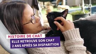 Miniature : À des milliers de km, elle reçoit un appel inattendu : son chat l'attend