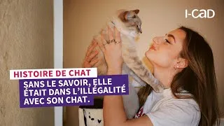 Miniature : ​@romanehaller apprend avec surprise que son chat Scotty menait une vie… non conforme !