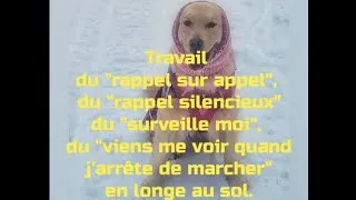 Miniature : 16 décembre 2025