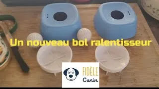 Miniature : 4 février 2026