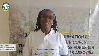 Miniature : #Echosdesformations : Dr Tchiofo Rodine, Chef du Département Foresterie à ISABEE-Ebolowa s'exprime!