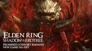 Miniature : ELDEN RING | Promised Consort Radahn | New Game No-Hit