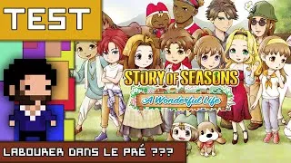 Miniature : STORY OF SEASONS A WONDERFUL LIFE : Labourer dans le pré ???