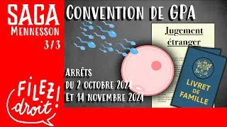 Miniature : Mennesson 3, Exequatur et filiation d’un enfant issu de GPA, Cass.,, 2 oct. 2024 et 14 nov. 2024,