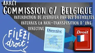 Miniature : Commission / Belgique, CJCE, 01/03/1983, difficultés internes et non-transposition d’une directive