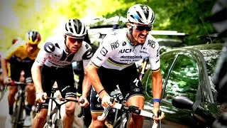 Miniature : JULIAN ALAPHILIPPE | Rainbow Warrior | 2020