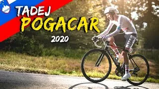 Miniature : TADEJ POGACAR | Slovenia Legend | 2020