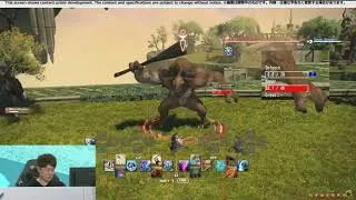 Miniature : FINAL FANTASY XIV EVERCOLD - Paladin gameplay Mode Evolve