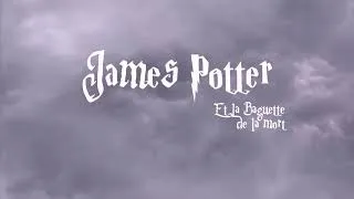 Miniature : Max Seguin - "James Potter Theme" [From "James Potter & La Baguette de la Mort"] (Demo)
