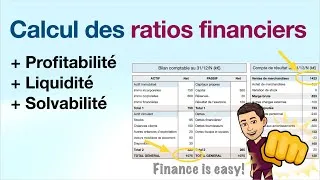 Miniature : Calcul (et interprétation) des ratios financiers
