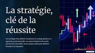 Miniature : 95% d'échec en trading