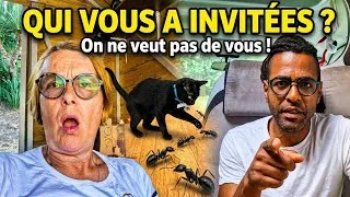 Miniature : Des indésirables chez nous !