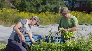 Miniature : Conciliation travail et vie personnelle