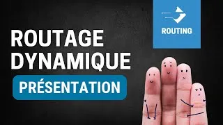 Miniature : Le routage dynamique expliqué simplement | Finger In The Net