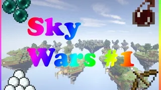 Miniature : SKYWARS  #1