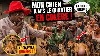 Miniature : FILM AFRICAIN – Le Chien de Fingon Enceinte Toutes les Chiennes du Quartier