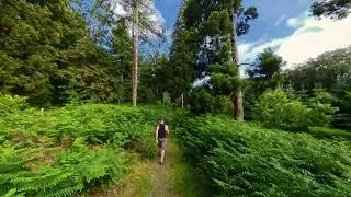 Miniature : Le randonneur des forêts en  "mood dark"