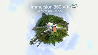 Miniature : Visitez une forêt en mode immersion 360  en Bretagne  [VR 360°]🌲