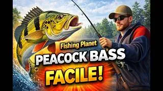Miniature : Fishing Planet : PEACOCK BASS aux Everglades (Guide Facile + Meilleurs Spots & Appâts)