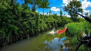 Miniature : LE SPOT PARFAIT APRÈS LE BOULOT ? 🎣