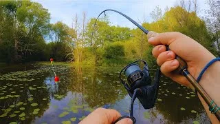 Miniature : PÊCHE AU BOUCHON - JE DECOUVRE UN SPOT PROMETTEUR !