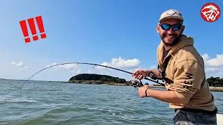 Miniature : Je ne m'attendais pas à trouver des REQUINS ici , ils font plus d'1 METRE !