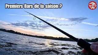 Miniature : LES BARS SERONT-ILS PRESENT POUR LA PREMIERE SORTIE ? - JEU CONCOURS pêche du bar aux leurres