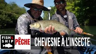 Miniature : Pêche du chevesne à vue: Sylvain pète un plomb et balance Baptiste à l'eau !