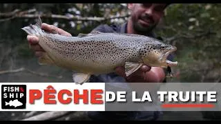 Miniature : PÊCHE DE LA TRUITE À LA CUILLER !