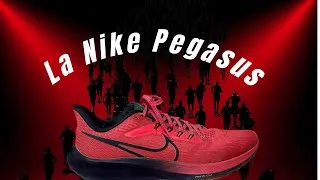 Miniature : Nike Pegasus : La chaussure parfaite pour les débutants et les coureurs polyvalents - Mon avis !