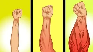 Miniature : Tu veux des bras veineux. Essaye ça ce mois ci.
