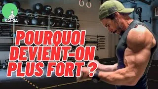 Miniature : Pourquoi devient-on plus fort ?