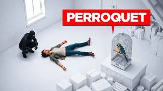 Miniature : Quand le seul témoin d’un m*utre est un perroquet