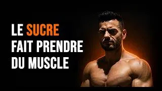 Miniature : Le cardio pour rien, le glucose pour l'hypertrophie et la forêt pour la longévité