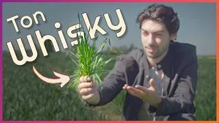 Miniature : Comment on fait un WHISKY FRANCAIS ? (Whisky Lagomorphe)