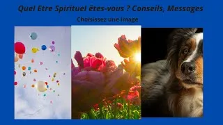 Miniature : Guidance à choix ✨ Quel Être spirituel êtes-vous ? Conseils, Messages 