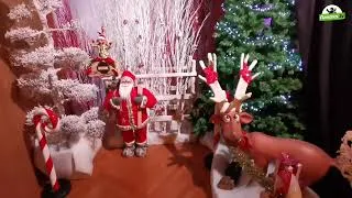 Miniature : 🎄 Marché de Noël de Dunkerque ! 🎄