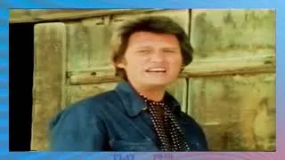 Miniature : Johnny Hallyday - Les Chiens De Paille