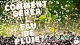 Miniature : Comment gérer la récupération d'eau au potager et l'arrosage?