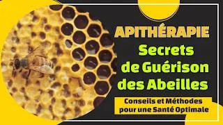 Miniature : Apithérapie : Secrets de Guérison des Abeilles 🐝 | Conseils et Méthodes pour une Santé Optimale