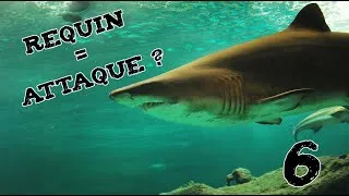 Miniature : REQUIN = ATTAQUE ? (Les indésirables #6)