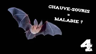 Miniature : CHAUVE-SOURIS = DANGER ? (Les indésirables #4)