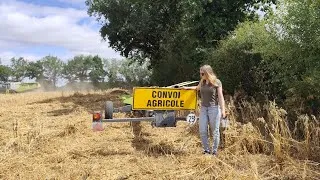 Miniature : Moisson et Concurrence ...
