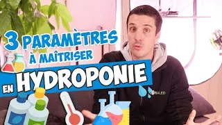 Miniature : Les 3 paramètres à maîtriser en hydroponie !