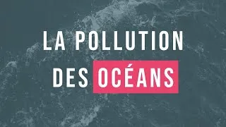 Miniature : 15 minutes pour comprendre facilement la pollution des océans