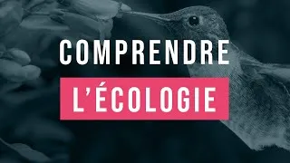 Miniature : 15 minutes pour comprendre facilement l'écologie