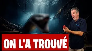 Miniature : Le Prédateur Ultime Est Enfin Là ! 🦈 - (Et Des Annonces Dingues à Ne Pas Manquer) - Floraquatic