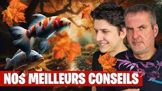 Miniature : Comment préparer sereinement son bassin pour l'hiver ? - Floraquatic