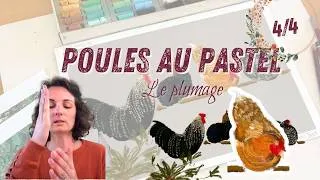 Miniature : Comment peindre une poule au pastel ? Partie 4/4